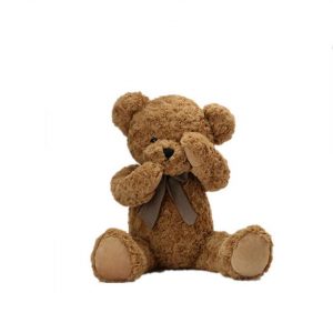 shy teddy bear