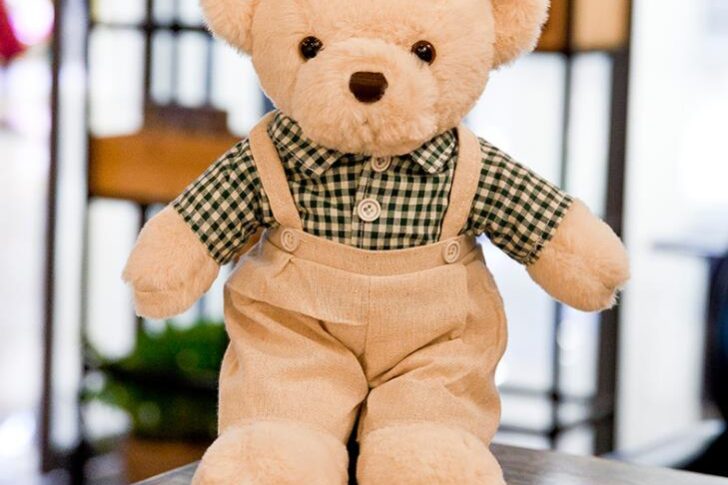 Fresh couple teddy bear toy (2)