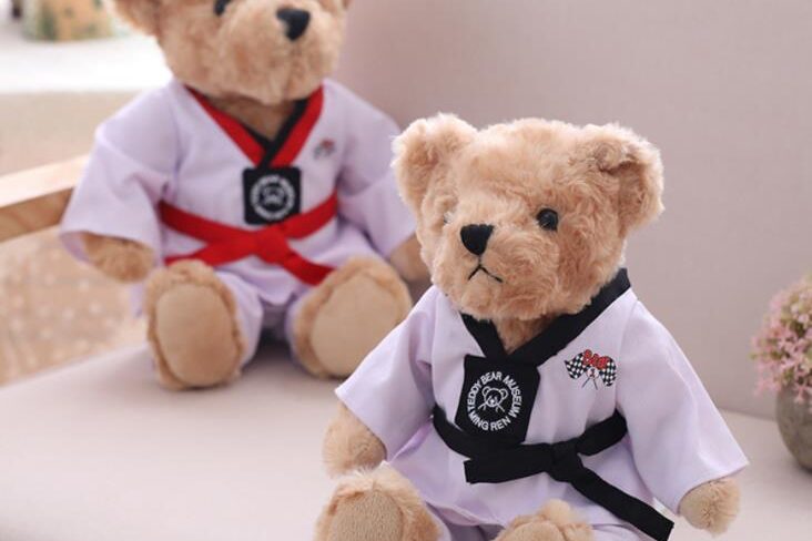 Taekwondo Teddy Bear Doll (3)