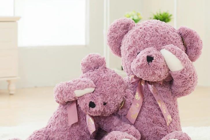 Rose velvet teddy bear toy (1)