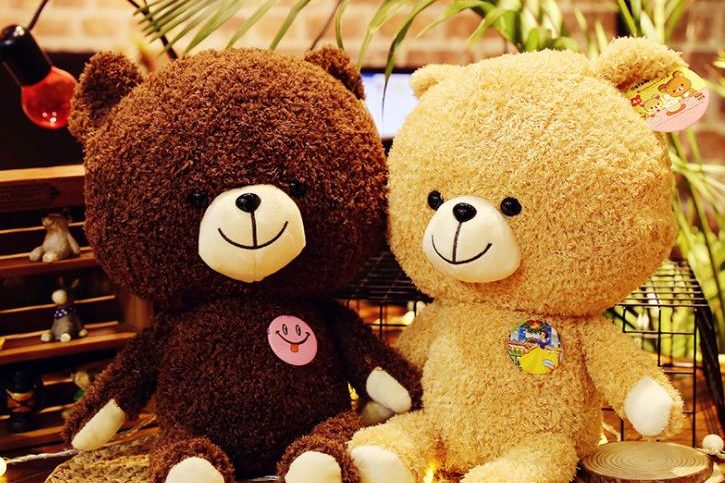 Short plush fabric soft teddy bear toy (1)