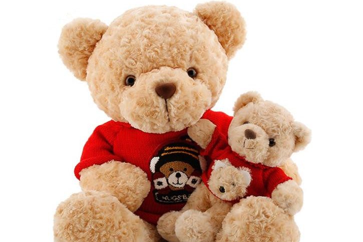 Teddy bear toy in red sweater (1)