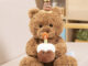 Birthday hat teddy bear plush toy with cake – cute gift for girlfriend and kids