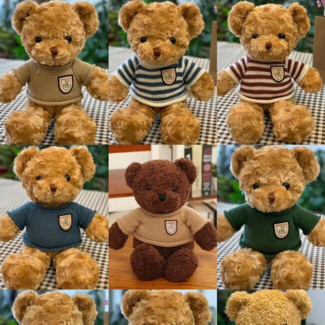Clothing teddy bear plush toy – Cute bear doll for gifts and birthdays