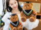 Graduation doctor teddy bear plush toy – graduate gift doll for students
