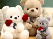 Graduation White Teddy Bear Plush Toy in Doctor and Student Outfits