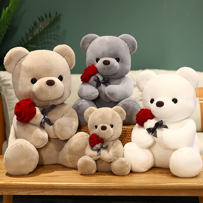 Graduation White Teddy Bear Plush Toy in Doctor and Student Outfits