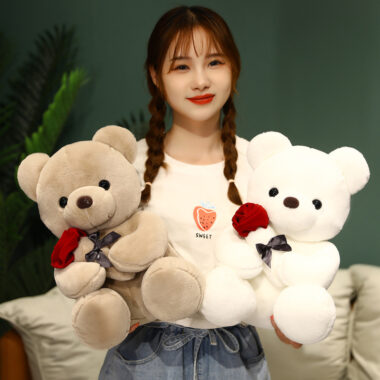 Graduation White Teddy Bear Plush Toy in Doctor and Student Outfits