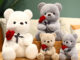 Graduation White Teddy Bear Plush Toy in Doctor and Student Outfits