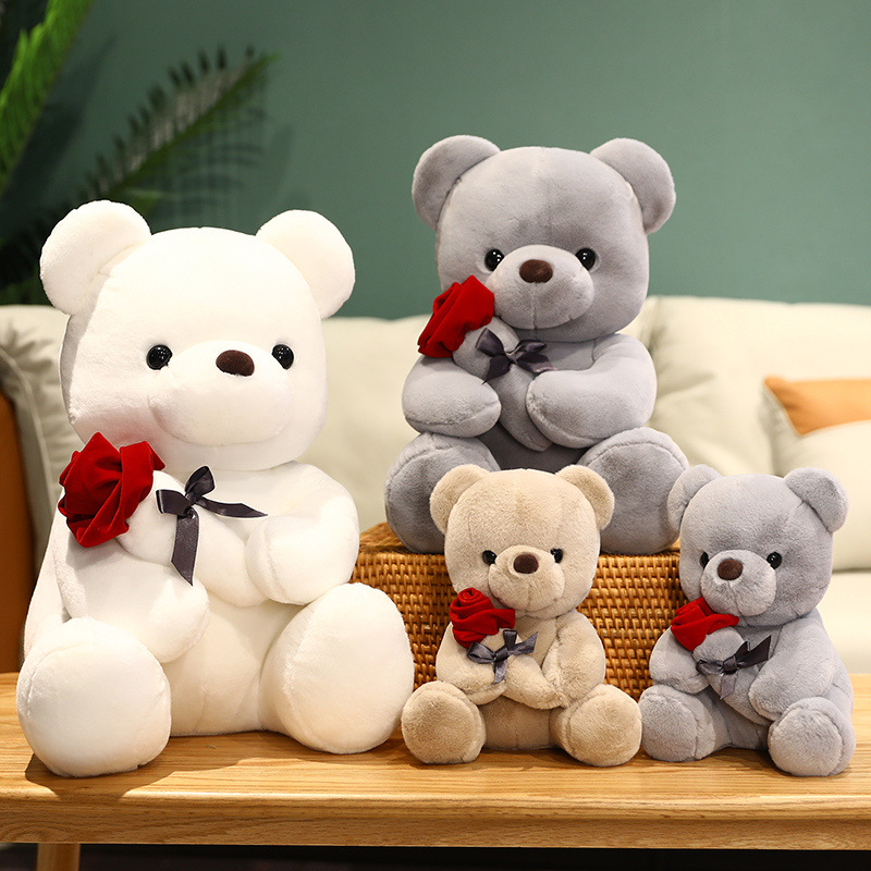 Graduation White Teddy Bear Plush Toy in Doctor and Student Outfits