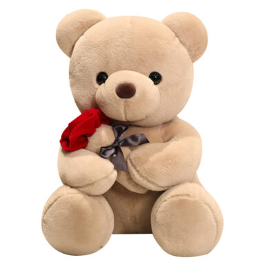 Graduation White Teddy Bear Plush Toy in Doctor and Student Outfits