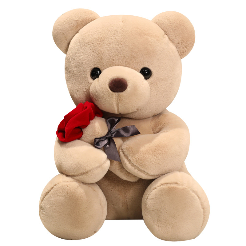 Graduation White Teddy Bear Plush Toy in Doctor and Student Outfits