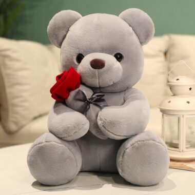Graduation White Teddy Bear Plush Toy in Doctor and Student Outfits