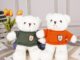 : Teddy Bear Plush Toy with Hoodie and Sweater for Kids and Gifts