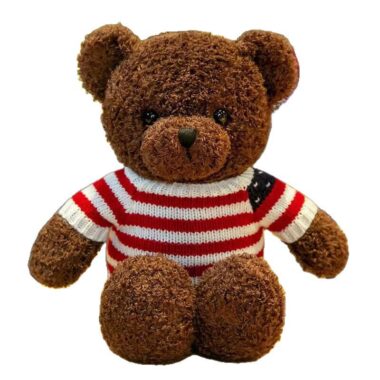 : Teddy Bear Plush Toy with Hoodie and Sweater for Kids and Gifts