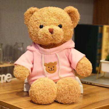 : Teddy Bear Plush Toy with Hoodie and Sweater for Kids and Gifts