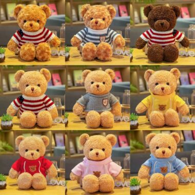 : Teddy Bear Plush Toy with Hoodie and Sweater for Kids and Gifts
