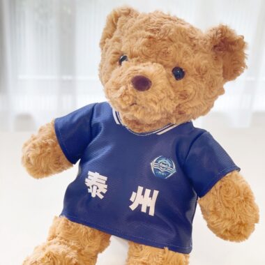 Teddy bear plush in Scottish football jersey – soccer fan gift toy