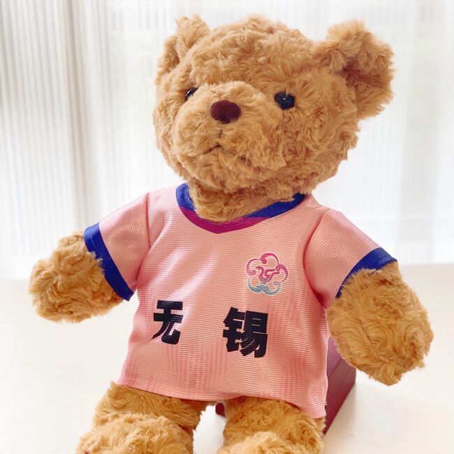 Teddy bear plush in Scottish football jersey – soccer fan gift toy