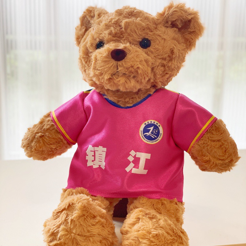 Teddy bear plush in Scottish football jersey – soccer fan gift toy