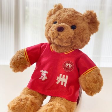 Teddy bear plush in Scottish football jersey – soccer fan gift toy