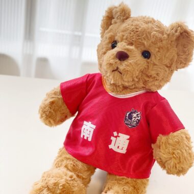Teddy bear plush in Scottish football jersey – soccer fan gift toy